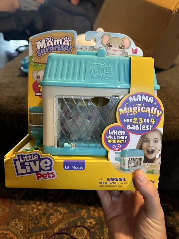 Little Live Pets - Mama Surprise Minis. Feed and Nurture a Lil' Mouse. She  has 2, 3, or 4 Babies with Surprise Accessories to Dress Up The Babies for