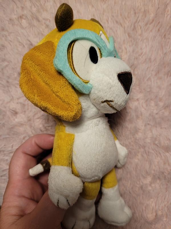 Honey and her glasses