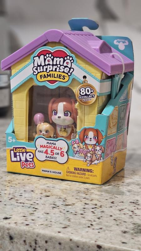 Photo - commentaire 1.