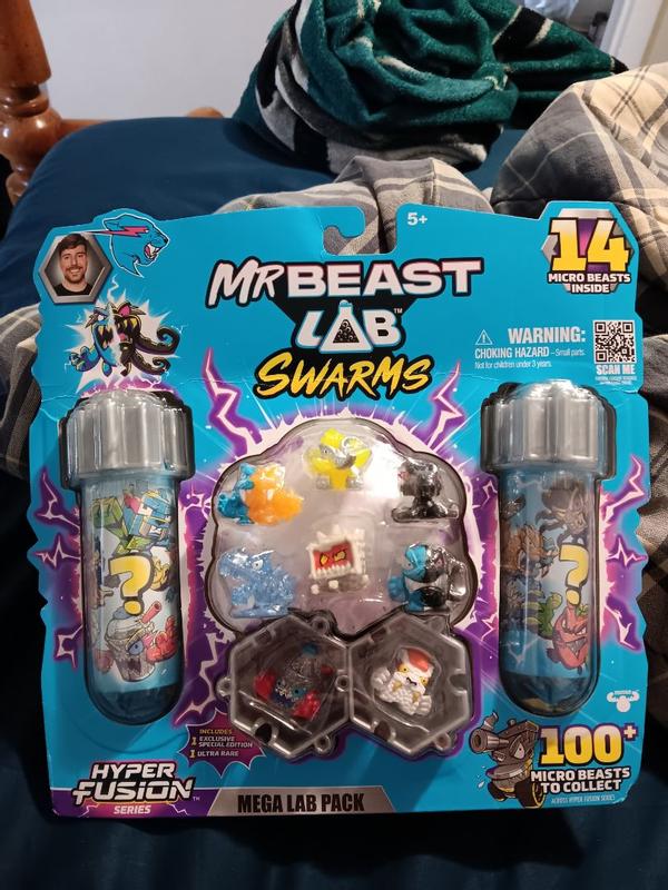 Photo - commentaire 8.