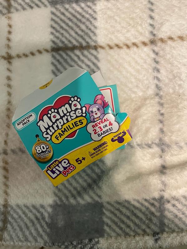 Photo - commentaire&nbsp;7.