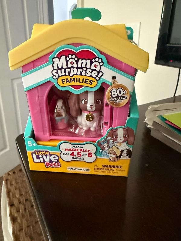 Photo - commentaire 2.