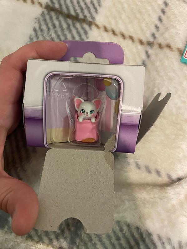 Photo - commentaire&nbsp;5.