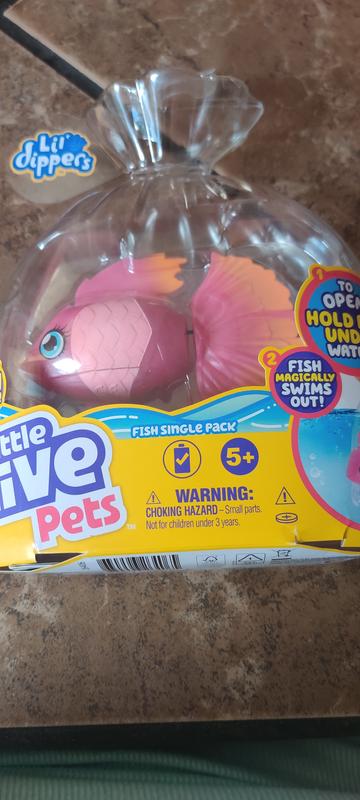 Photo - commentaire&nbsp;8.