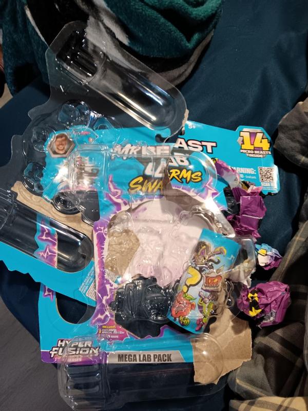 Photo - commentaire 5.