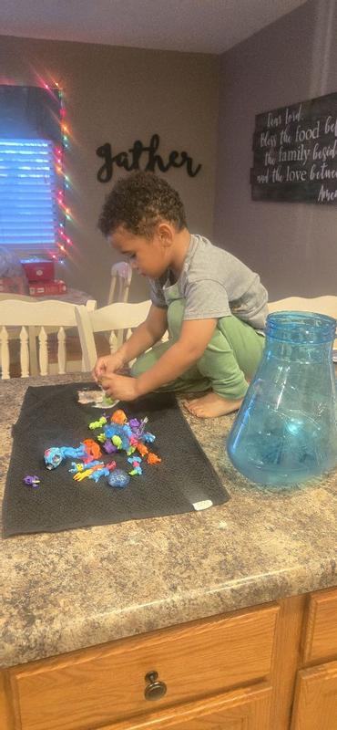 Photo - commentaire&nbsp;8.