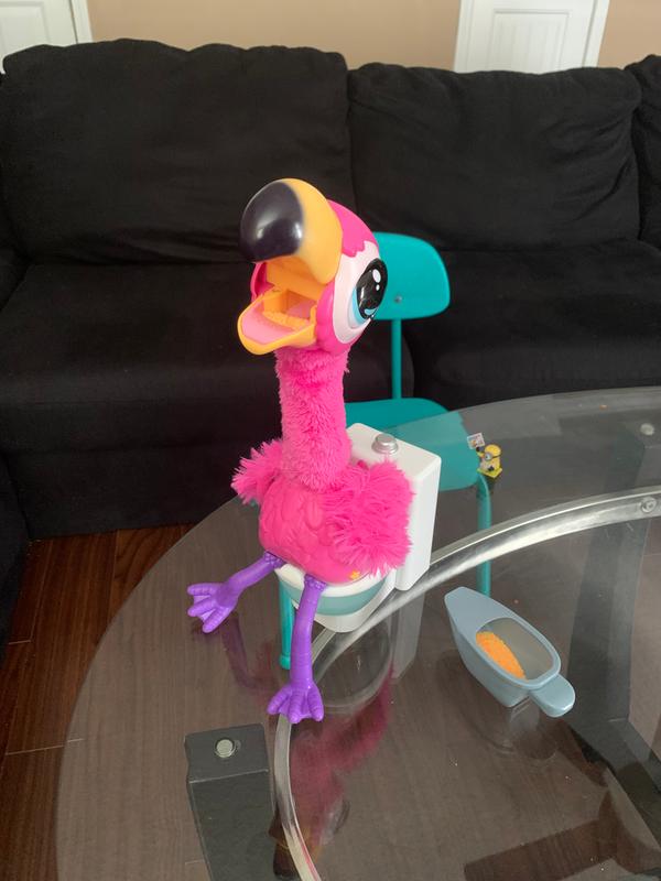 little live flamingo gotta go