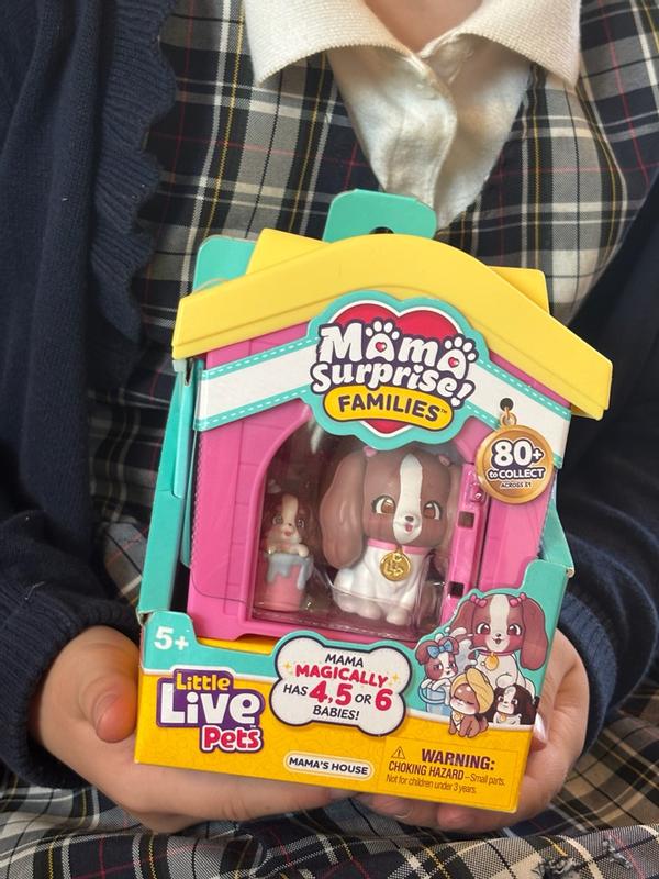 Photo - commentaire 3.