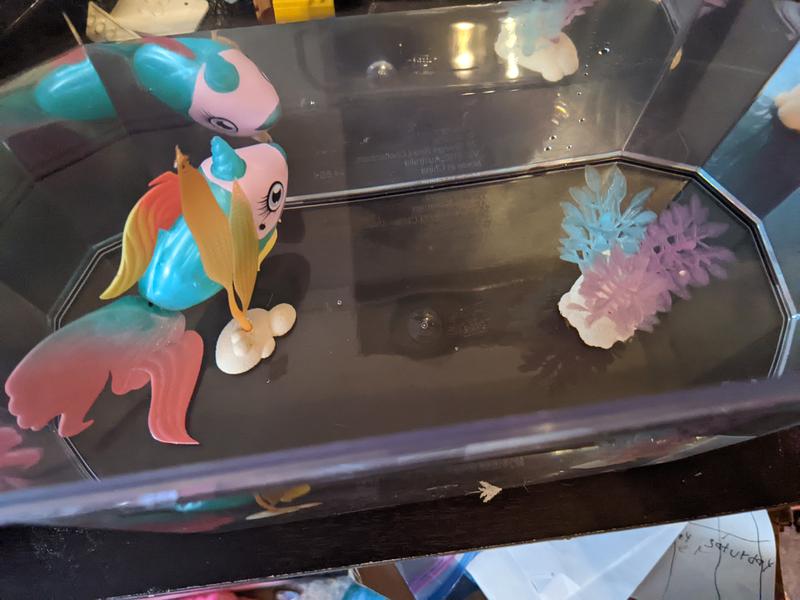 Photo - commentaire&nbsp;5.