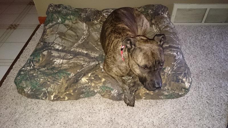 carhartt dog bed camo