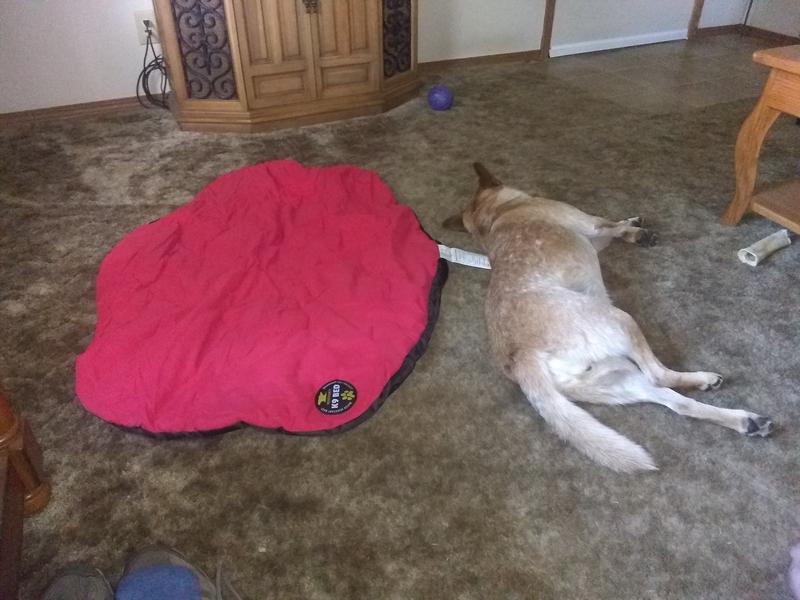 Photo submitted with review of product