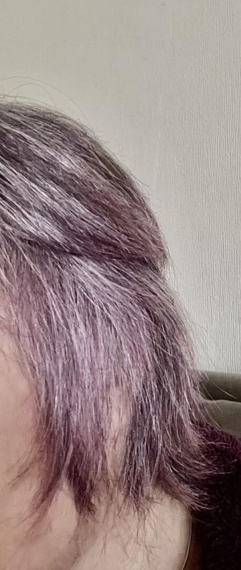 Customer photo for "Grey went light purple"