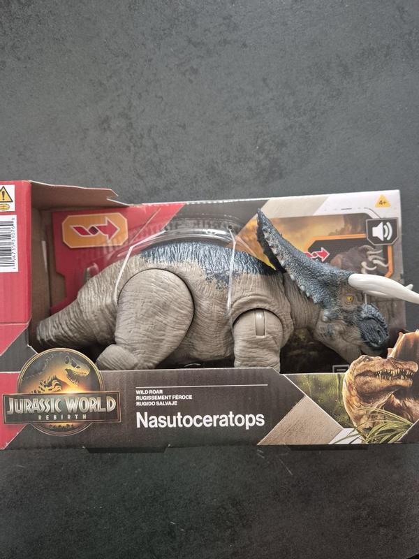 Photo - commentaire 6.