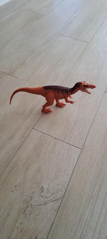 Photo - commentaire 7.