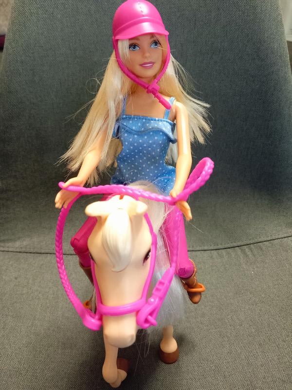 Barbie® Doll & Horse Playset for Kids, Assorted, Ages 3+