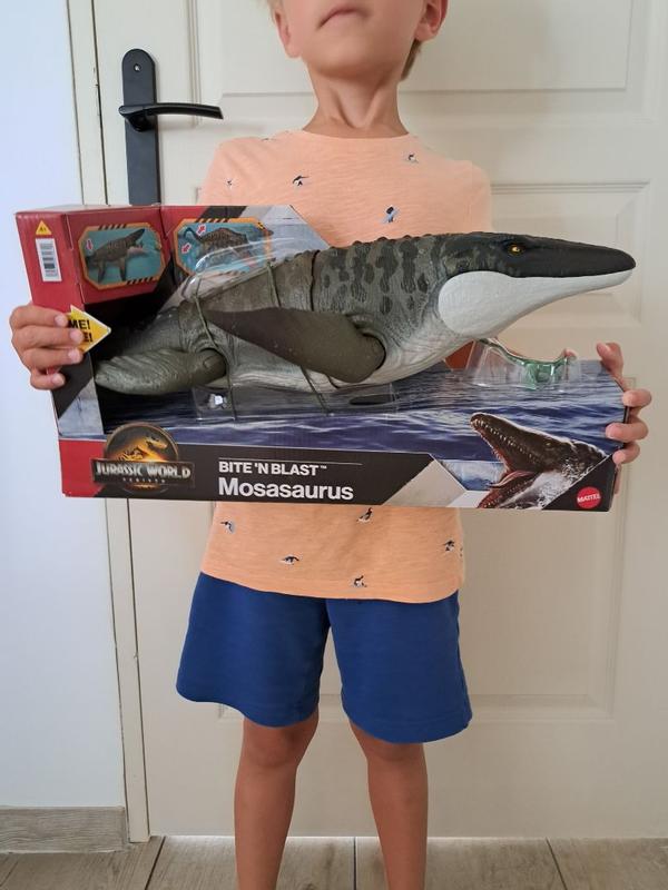 Photo - commentaire 5.