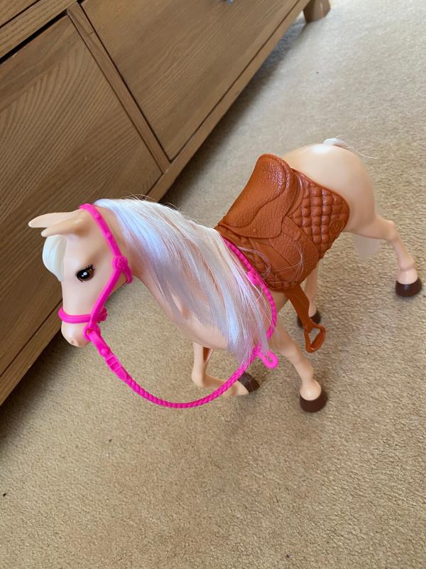 Barbie Doll and Horse Macy s