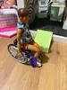 User submitted photo