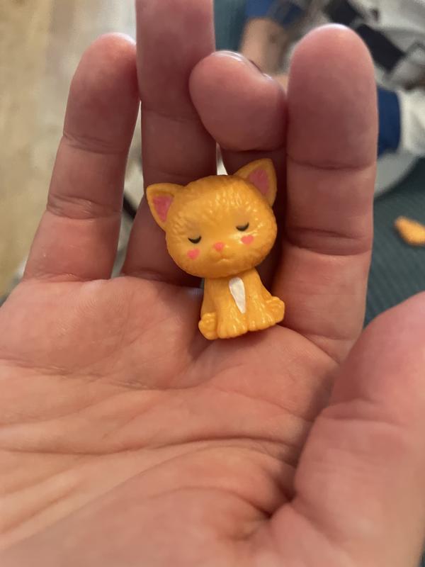 Little kitty cat companion