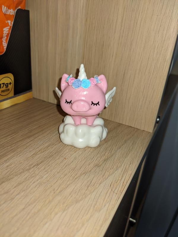 Who doesn't want a pet pig ?