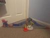 User submitted photo
