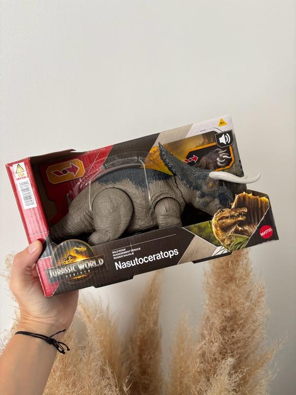 Photo - commentaire 2.