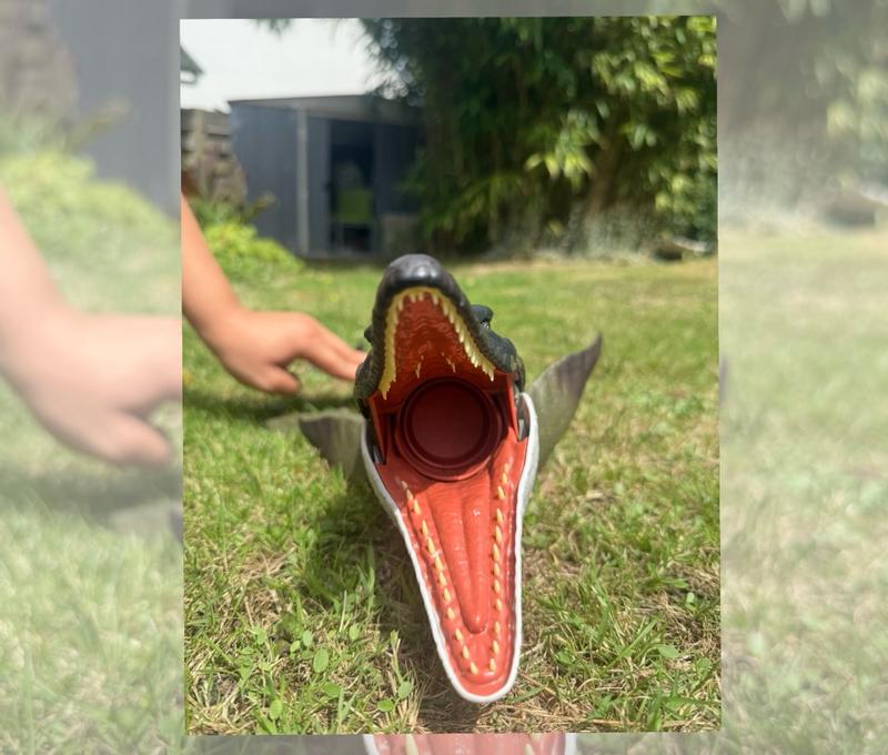 Photo - commentaire 8.