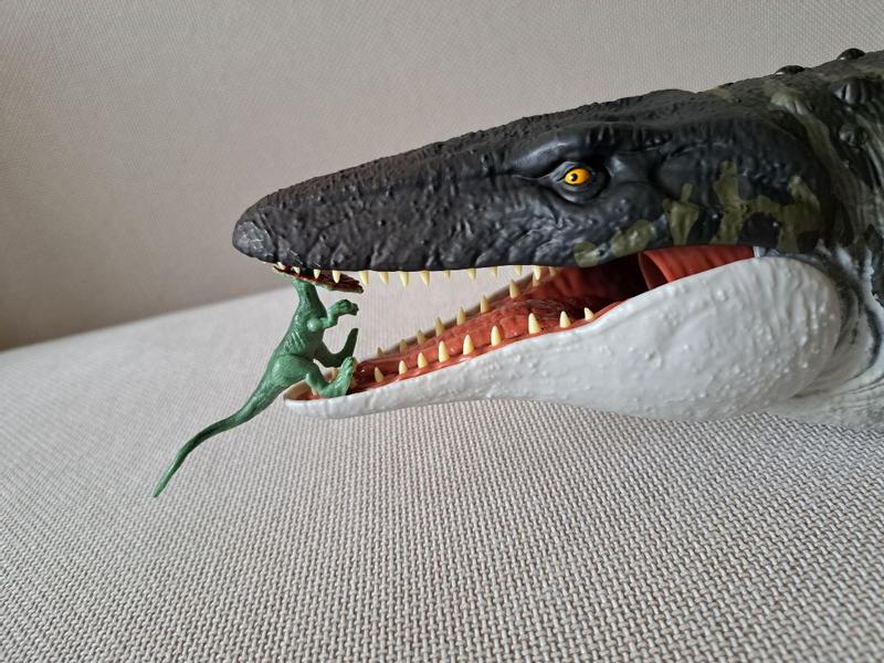 Photo - commentaire 2.