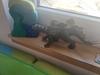 User submitted photo