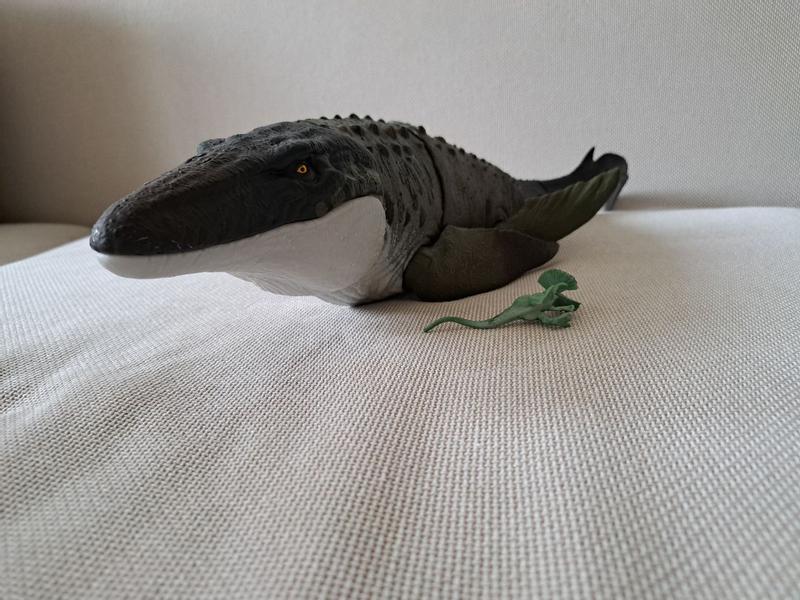 Photo - commentaire 6.