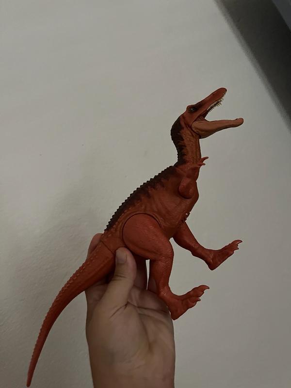 Photo - commentaire 3.