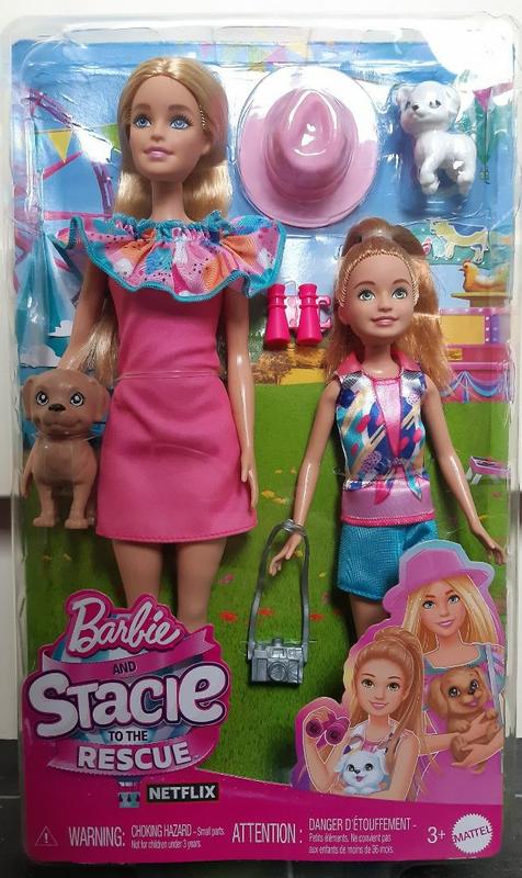 Barbie® Doll Stacie Doll Set with Accessories