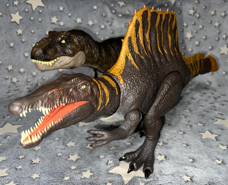 Photo - commentaire 7.