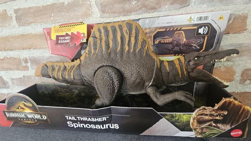 Photo - commentaire 3.