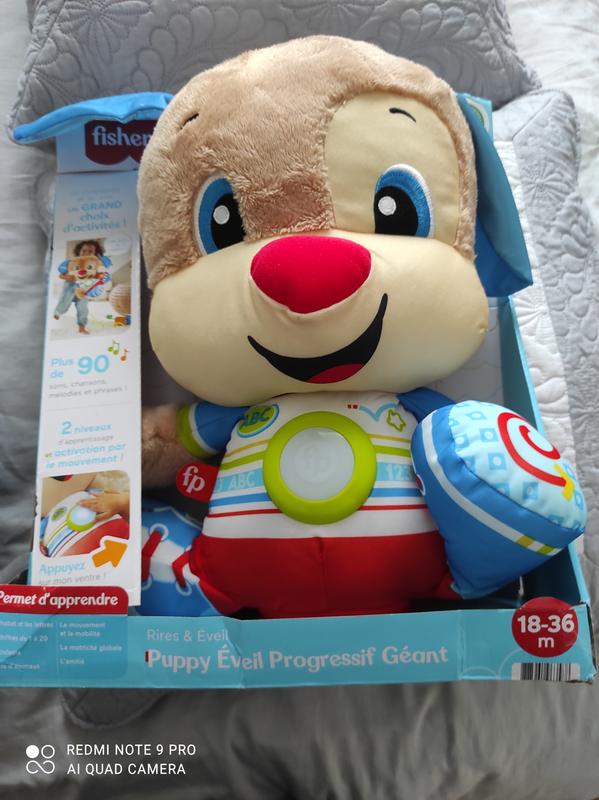 Puppy geant