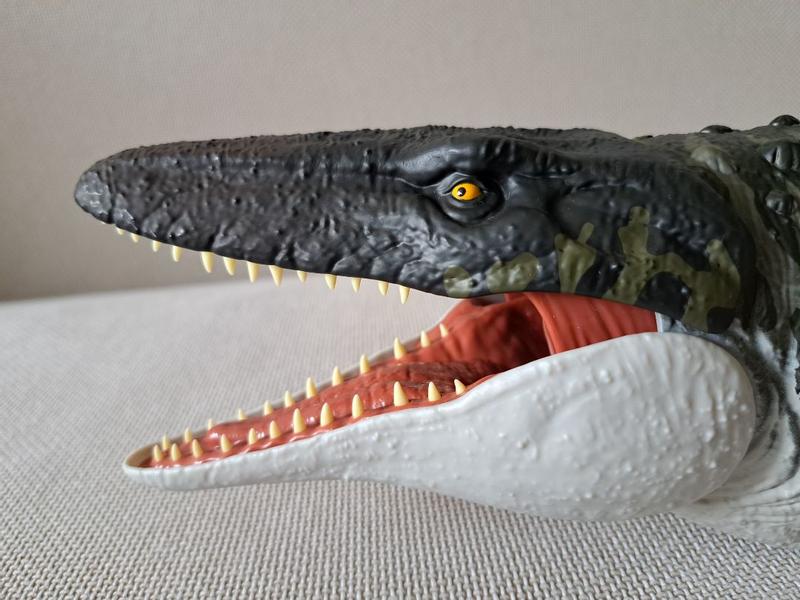 Photo - commentaire 4.