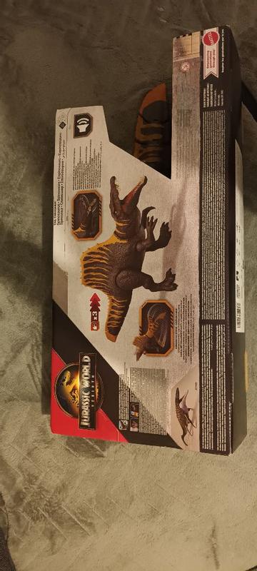 Photo - commentaire 6.