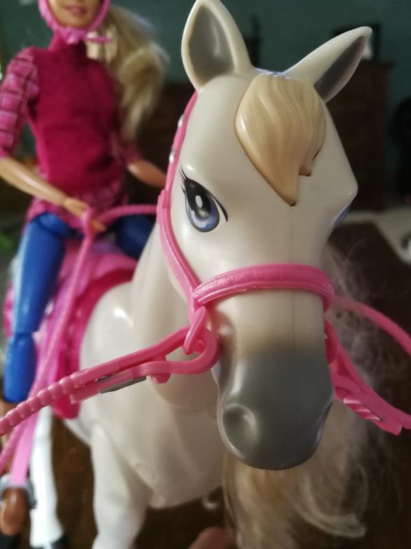 Horse close up, hair at front is the stop button