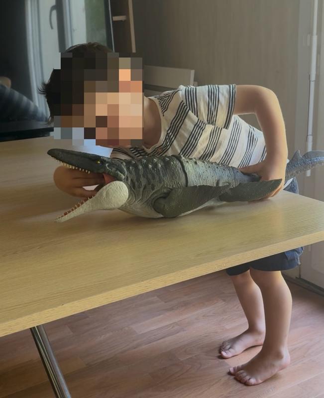 Photo - commentaire 7.