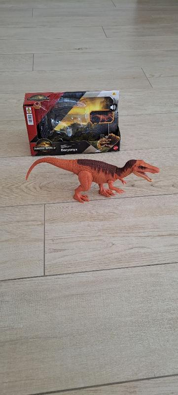 Photo - commentaire 8.