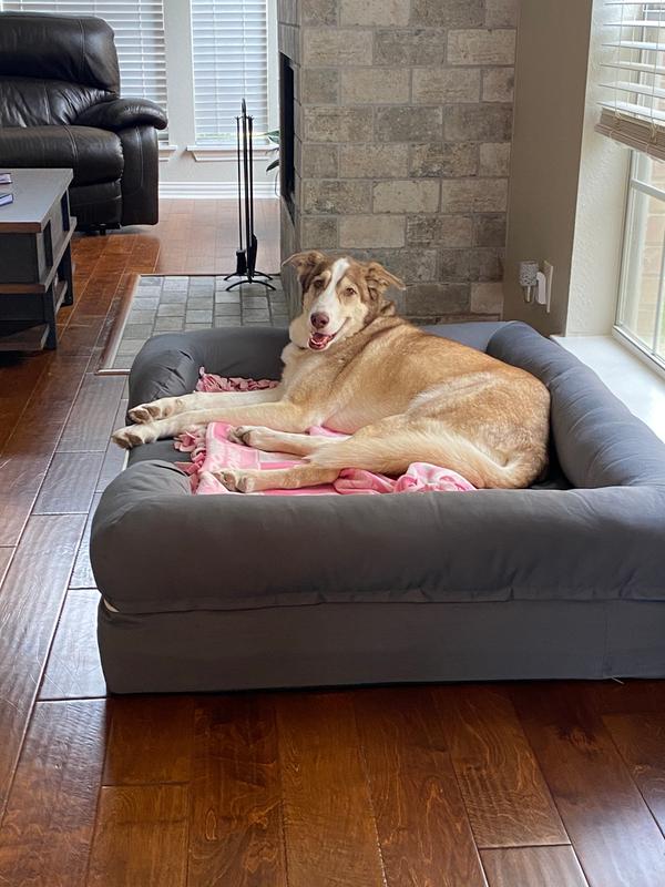 10 Best Dog Beds Best Dog Beds For Large And Small Dogs