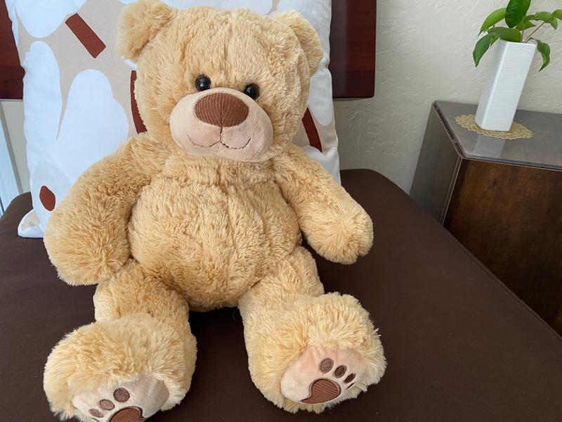Download Tempur Pedic Tempur Plush Teddy Bear