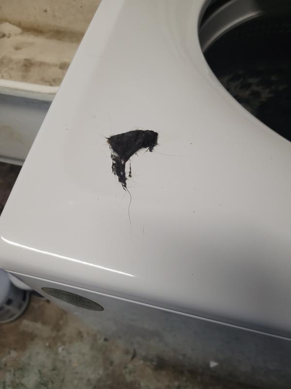 Customer photo 3 of 5. Click to open full size image.