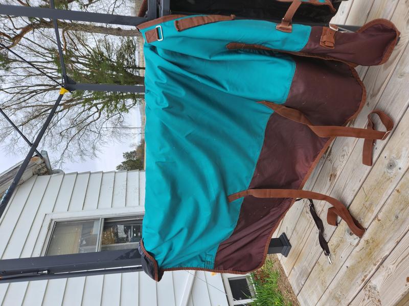 Customer photo 1 of 4. Click to open full size image.