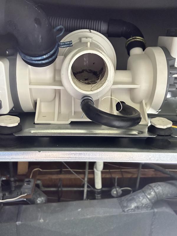 Customer photo 3 of 4. Click to open full size image.