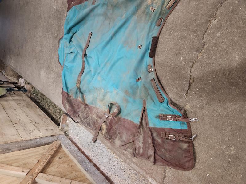 Customer photo 4 of 4. Click to open full size image.