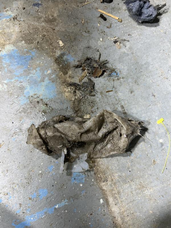 Customer photo 4 of 4. Click to open full size image.