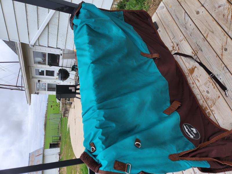 Customer photo 3 of 4. Click to open full size image.