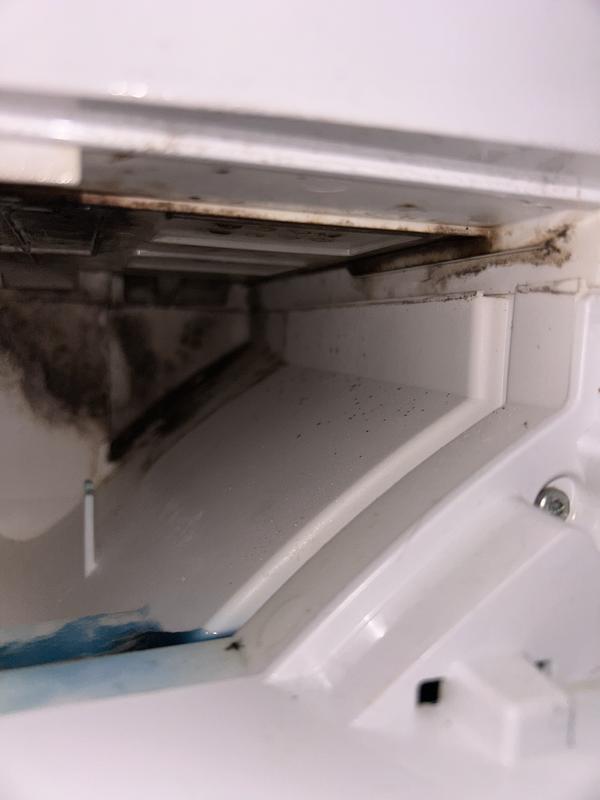 Customer photo 4 of 5. Click to open full size image.