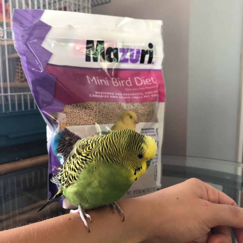 Mazuri Mini Bird Diet, 2 lbs. | Petco